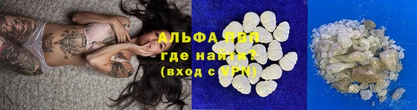 индика Кинешма