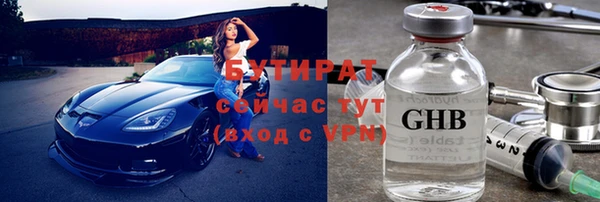 индика Кинешма