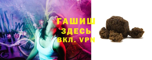 индика Кинешма