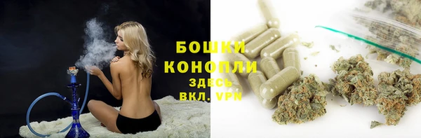 сатива Козловка