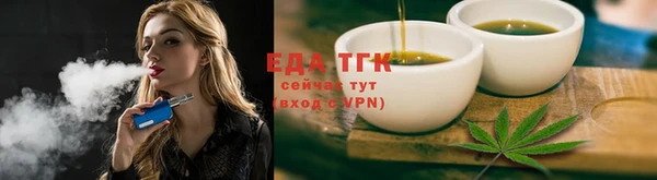 индика Кинешма