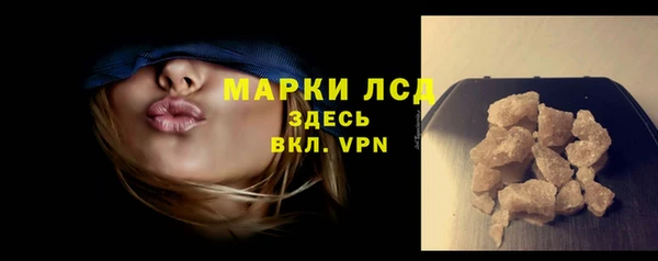 индика Кинешма