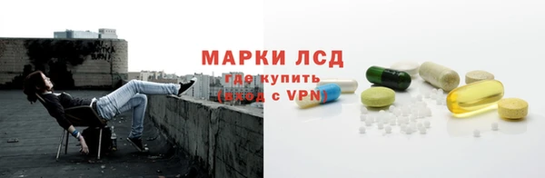индика Кинешма