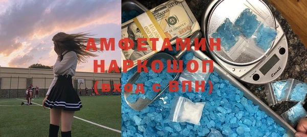 индика Кинешма