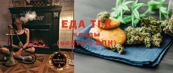 индика Кинешма