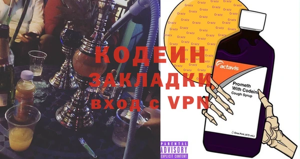 индика Кинешма
