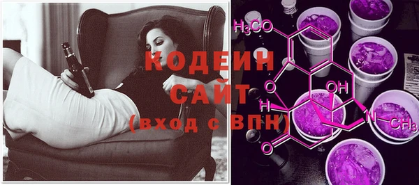 индика Кинешма